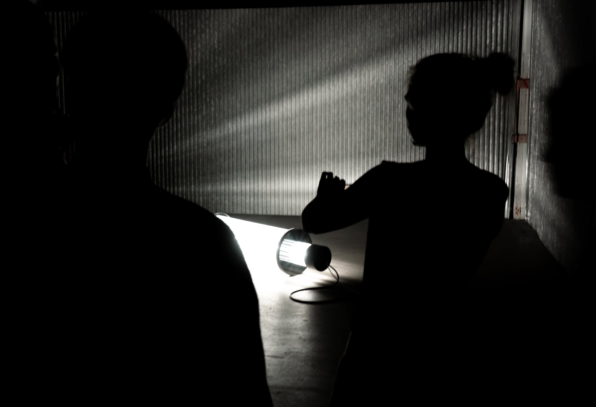 Illumina media 2
