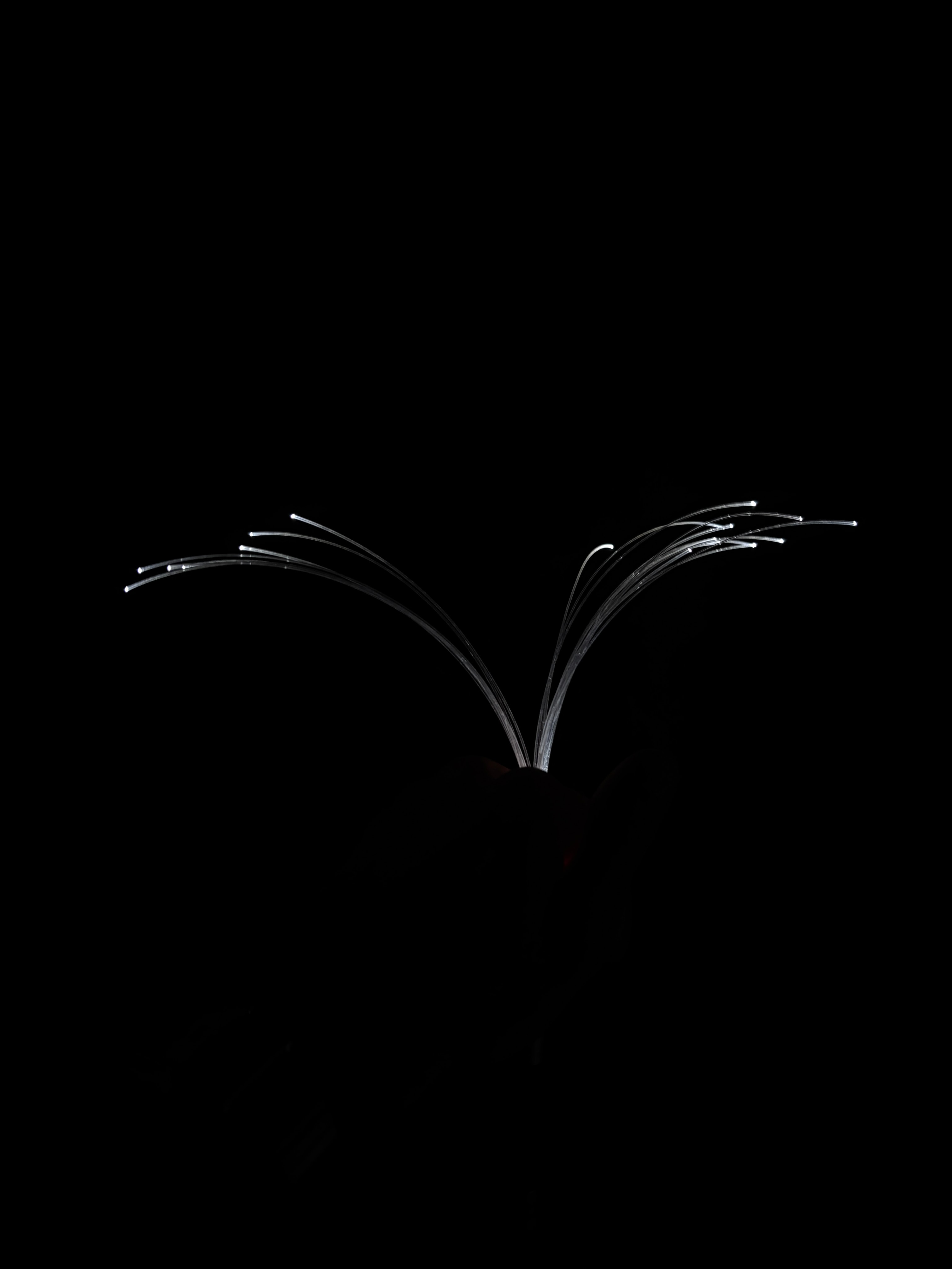 Glowing fibre-optic cables curving across the top of the page